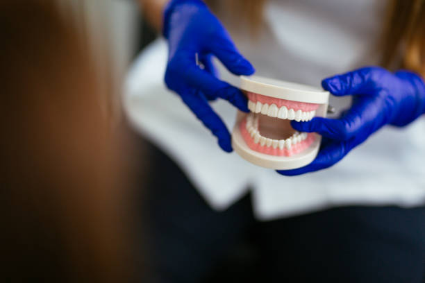 Trusted Spring Grove, PA Holistic Dental Care Services Experts